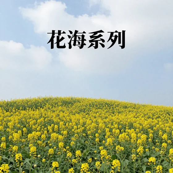 该品牌